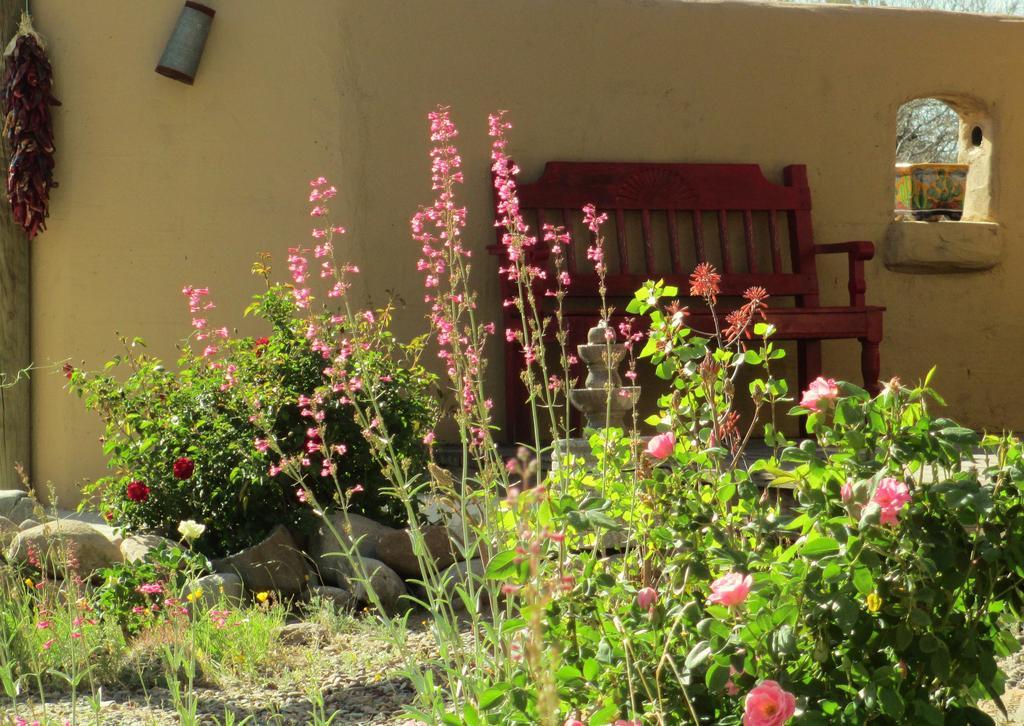 Tubac Country Inn Bagian luar foto